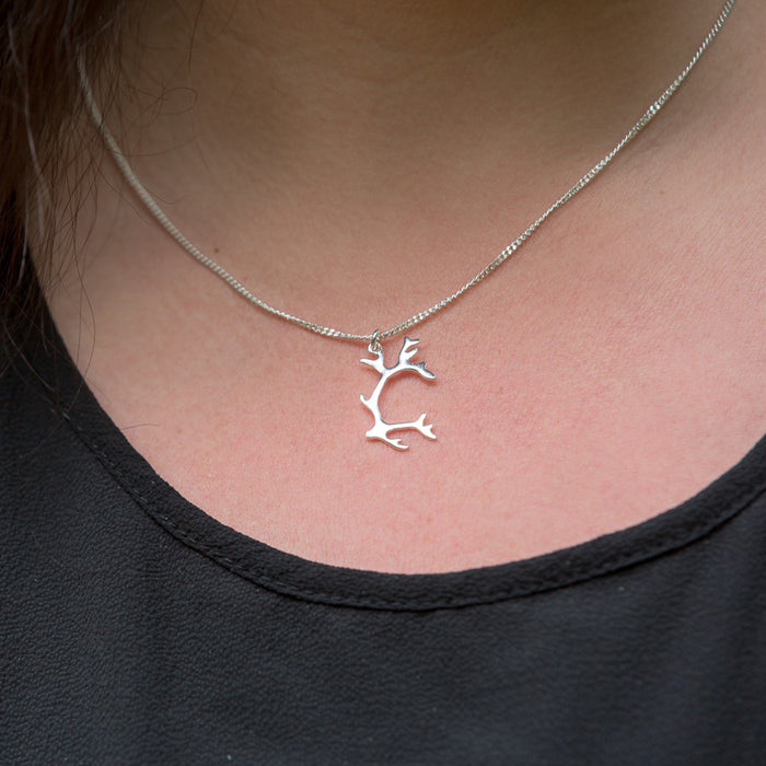 Halsband Tjoarvve stor