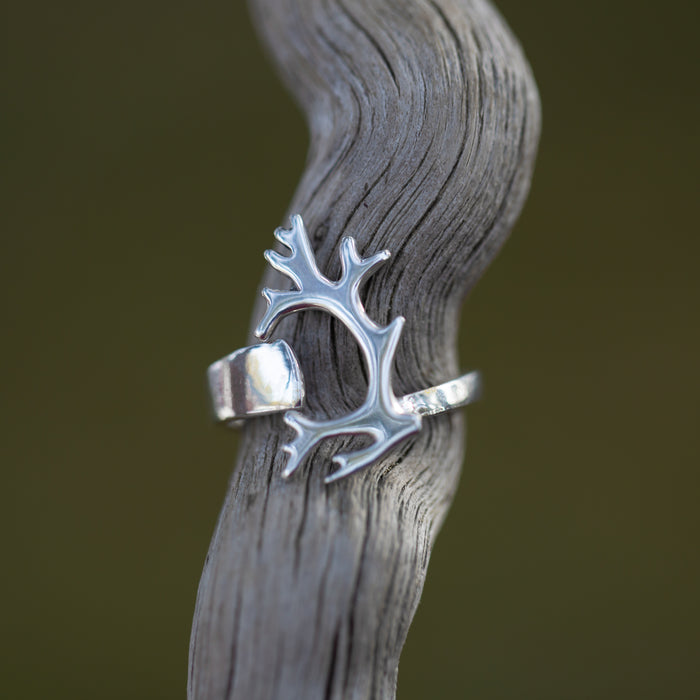 Tjoarvve ring i silver från Jokkmokk. Renhornsring i silver.