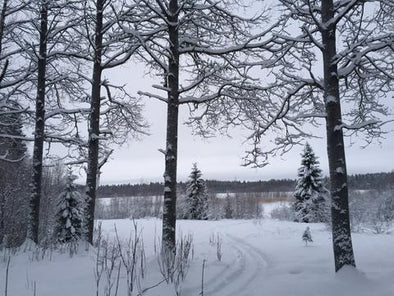 Lapland landscape, lots of snow and cold weather