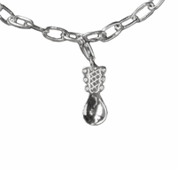 Charm Cloudberry
