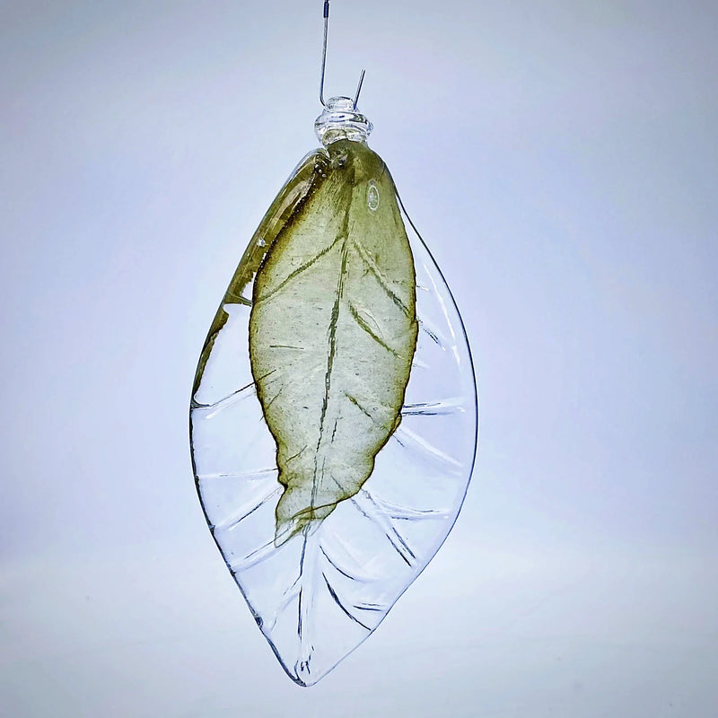 Glas leaf