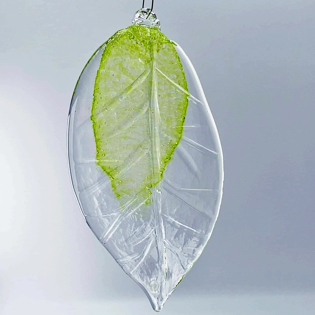 Glas leaf