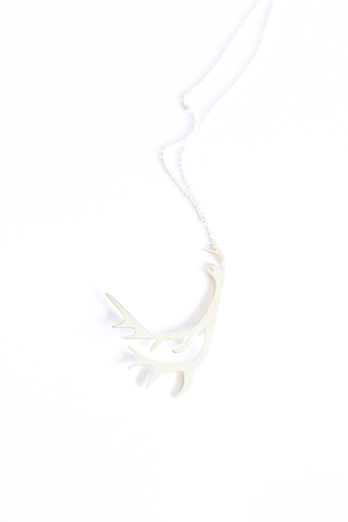 Necklace, horn pendant