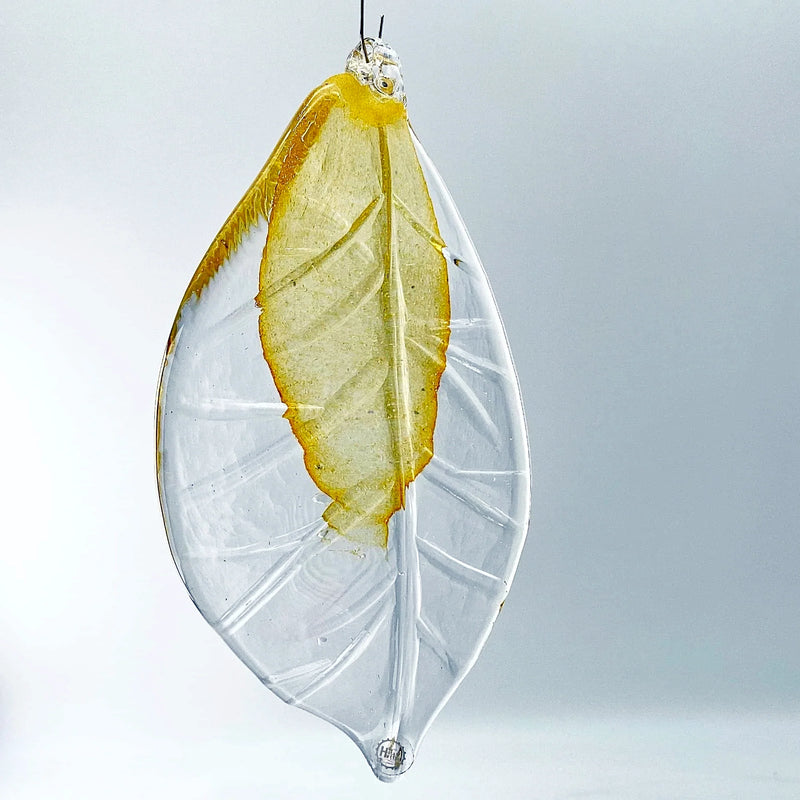 Glas leaf