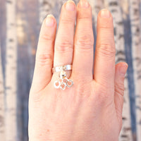 Ring Beskydd