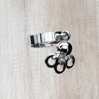 Ring Beskydd