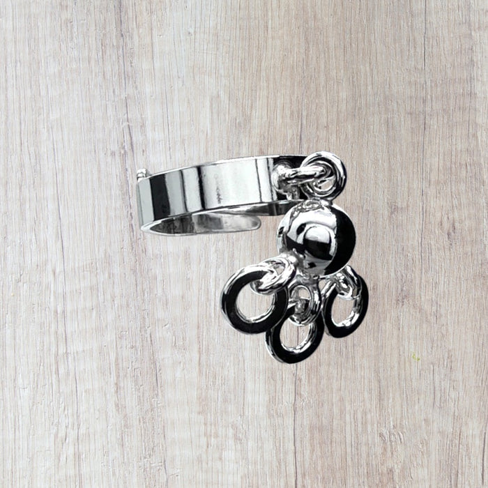 Ring Beskydd